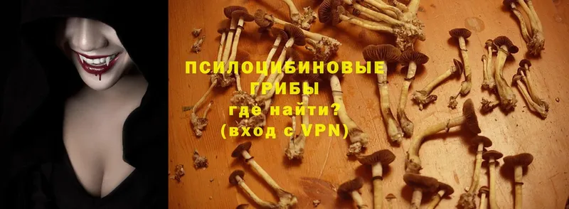 Галлюциногенные грибы MAGIC MUSHROOMS  Губкинский 